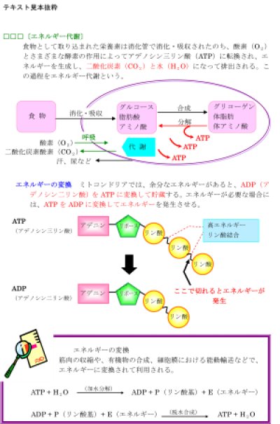 画像3: 基礎強化型　合格保証講座　Aコース（返金保証なし）